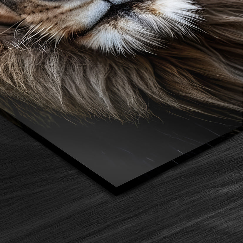 Lion head on dark