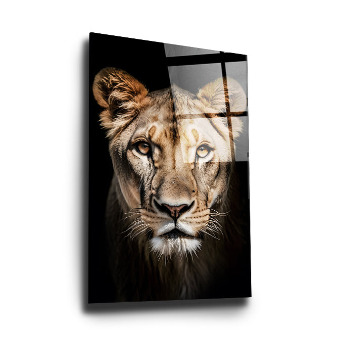 Lioness head on dark