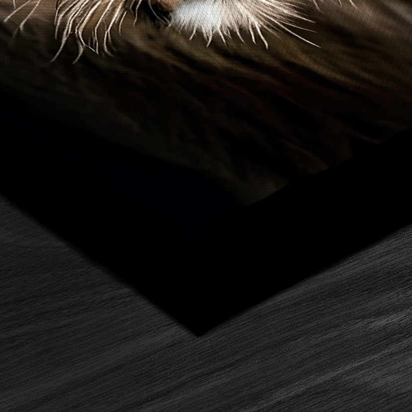 Lioness head on dark