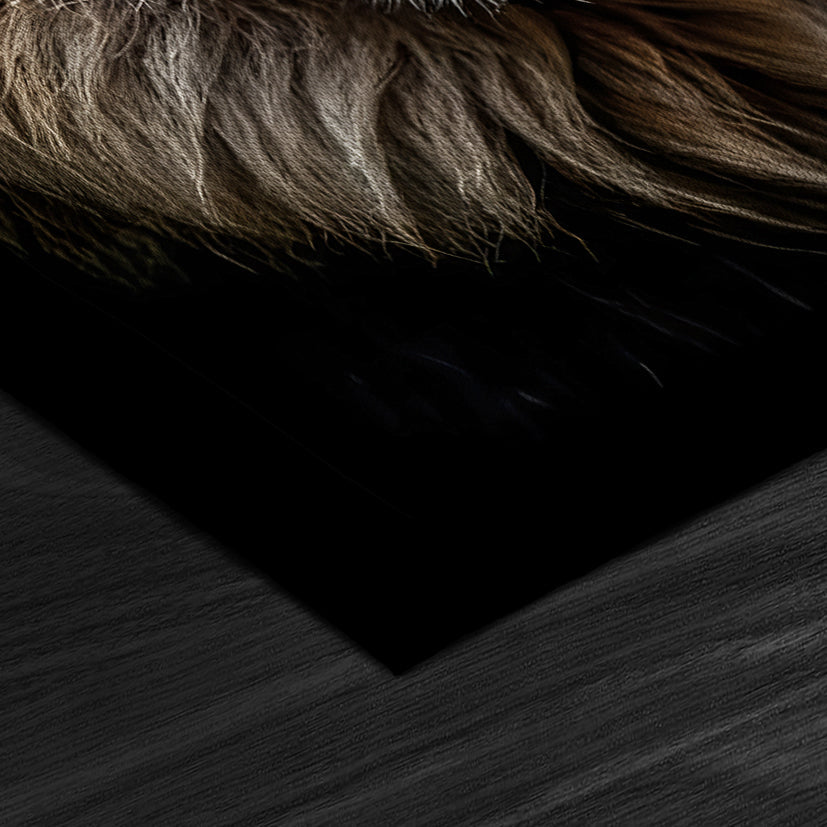 Lion head on dark