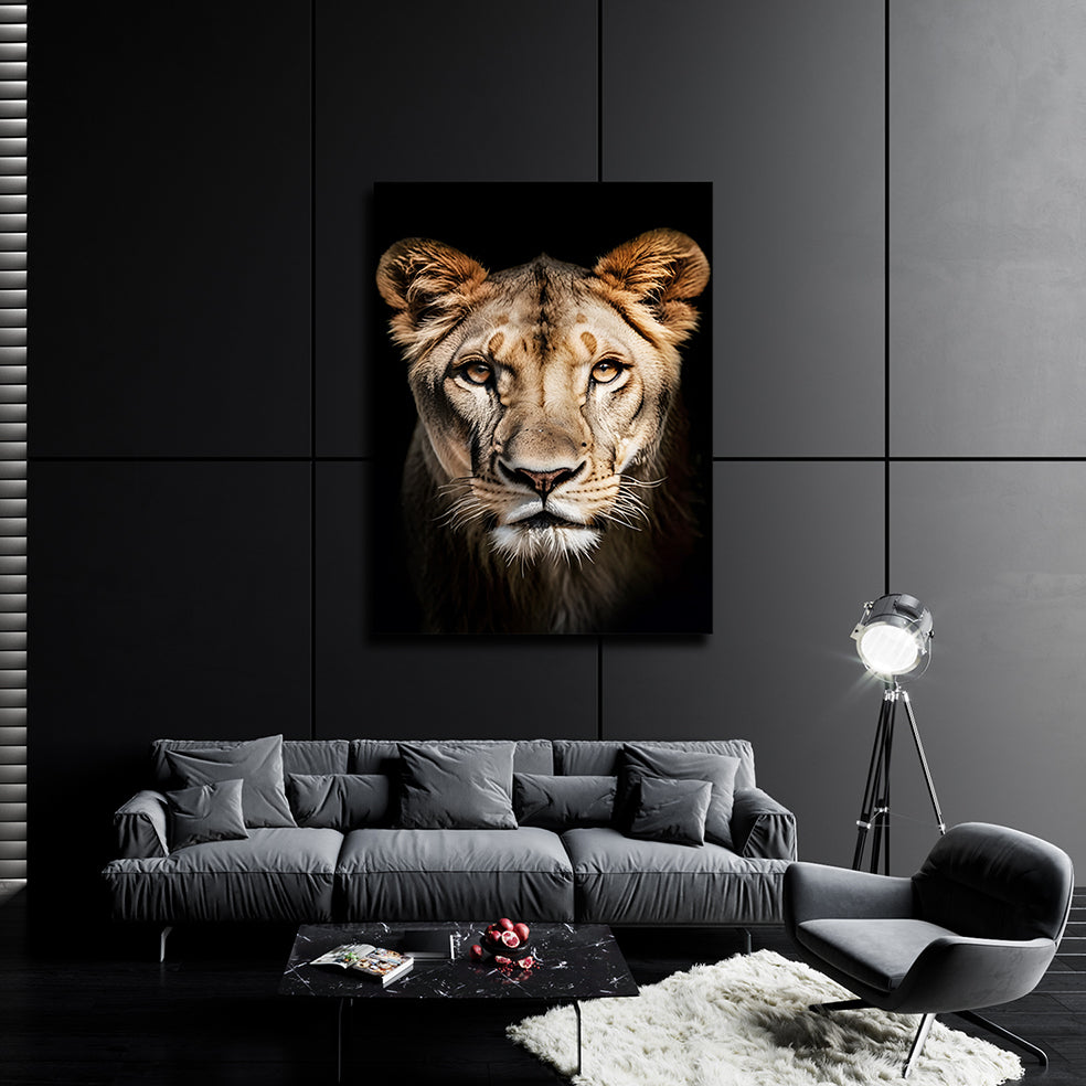 Lioness head on dark